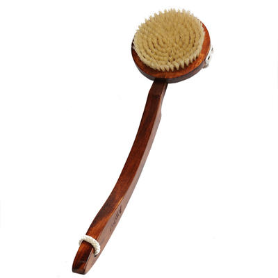 Detachable Long Handle Body Brush With Curved Beech Handle